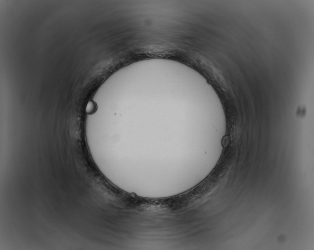 X0000102020689200808081749
