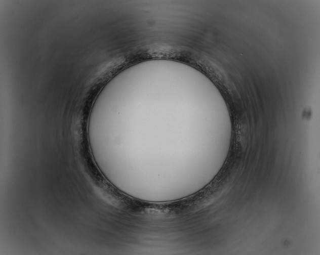 X0000102020690200808081749