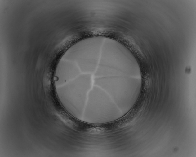 X0000102020691200808081749
