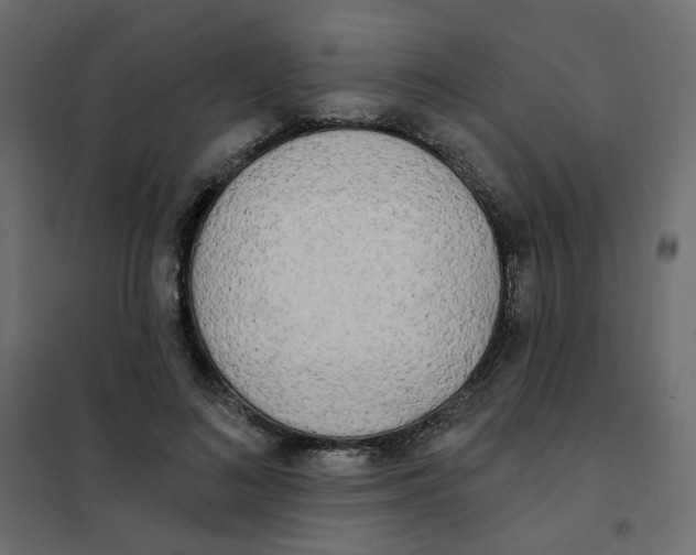 X0000102020692200808081749
