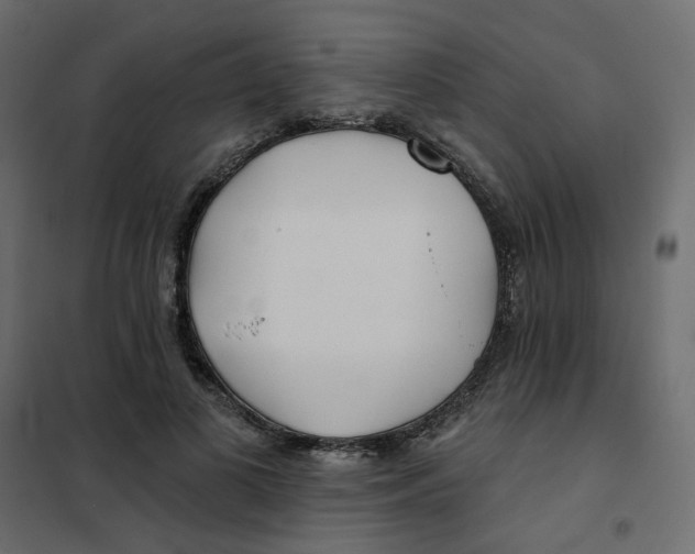 X0000102020693200808081749