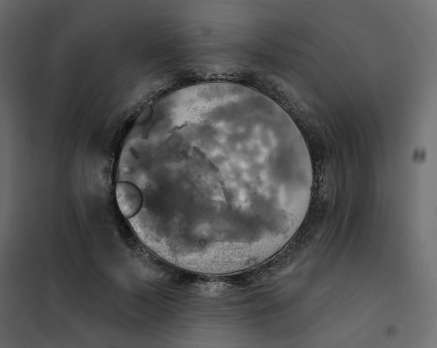 X0000102020695200808081749