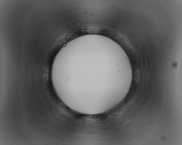 X0000102020697200808081749