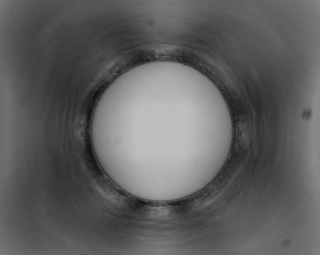 X0000102020698200808081749