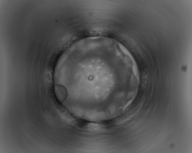 X0000102020699200808081749