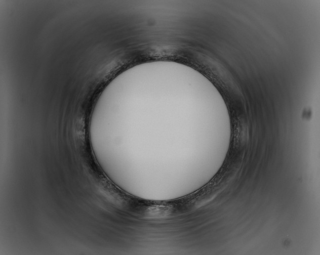 X0000102020700200808081749