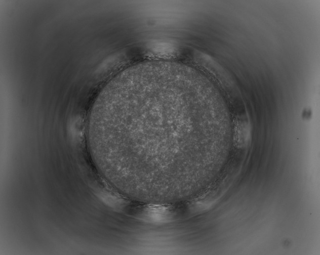 X0000102020701200808081749
