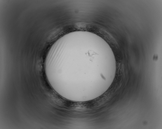 X0000102020702200808081749