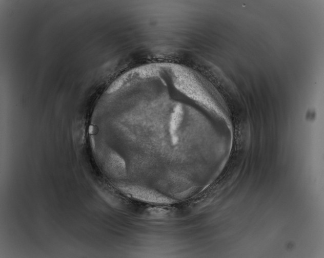 X0000102020703200808081749