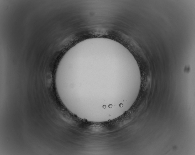 X0000102020704200808081749