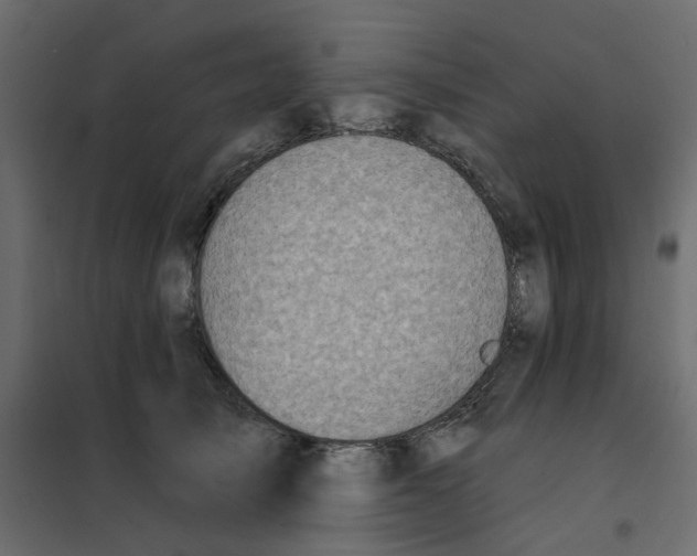 X0000102020705200808081748