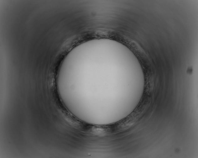 X0000102020706200808081748