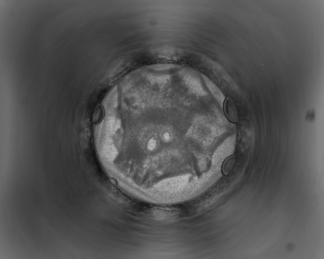 X0000102020707200808081748