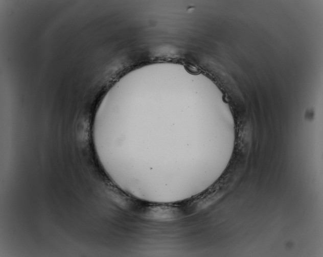 X0000102020708200808081748