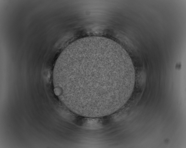 X0000102020709200808081748