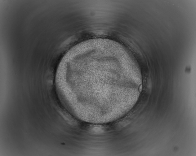 X0000102020710200808081748