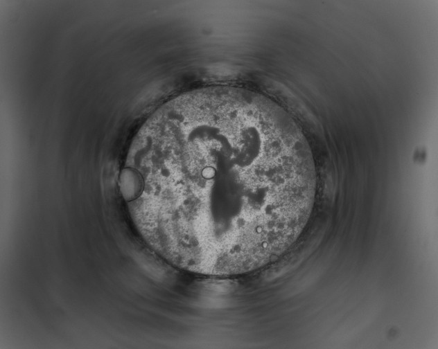 X0000102020711200808081748