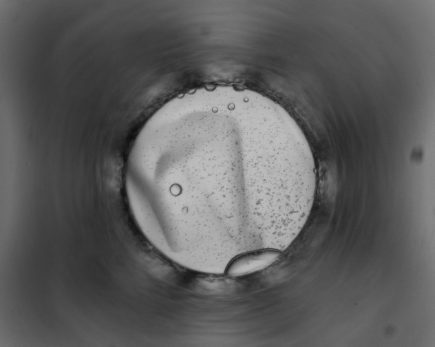 X0000102020712200808081748