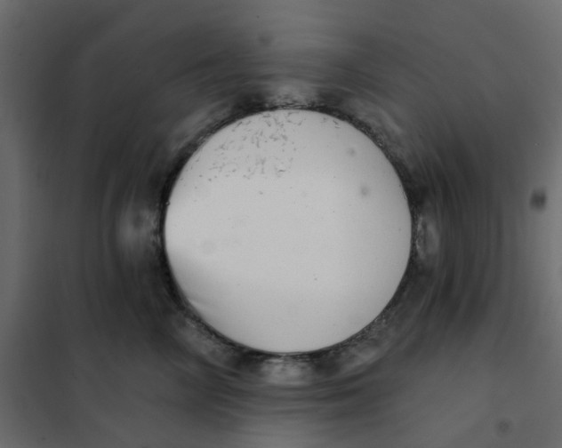X0000102020714200808081748