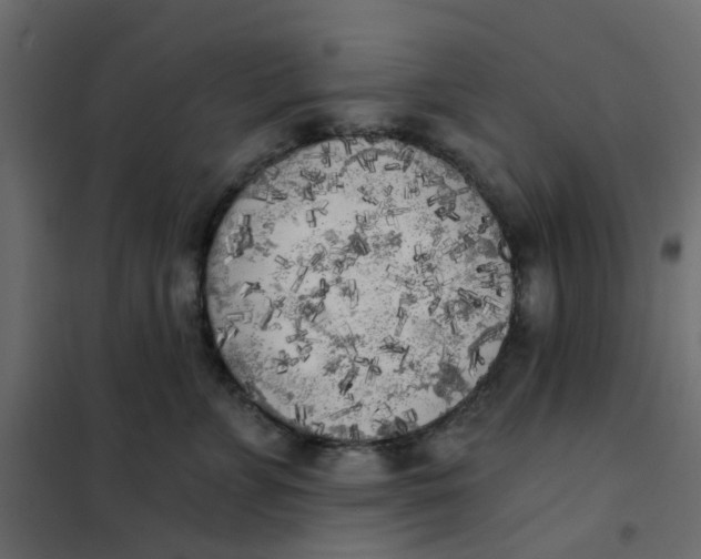 X0000102020715200808081748