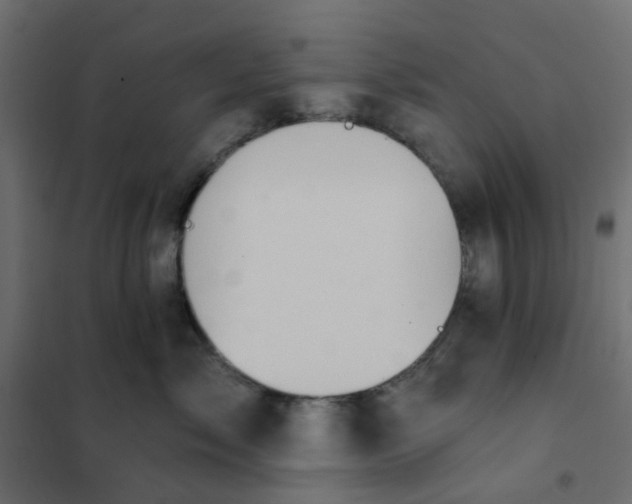 X0000102020717200808081748
