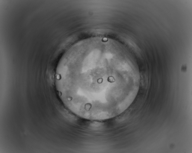 X0000102020718200808081748