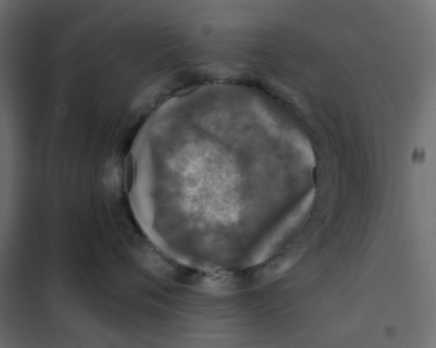 X0000102020720200808081748
