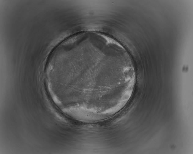 X0000102020721200808081748