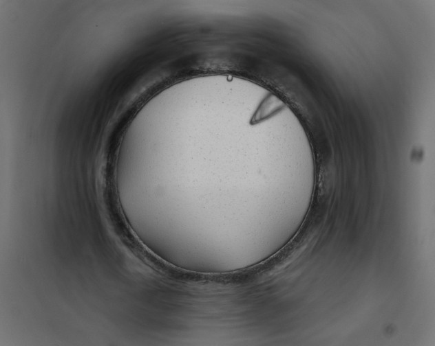X0000102020722200808081748