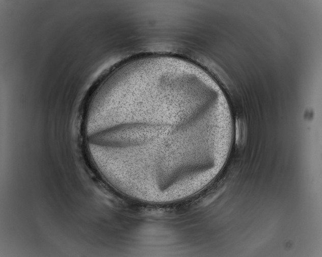 X0000102020723200808081748