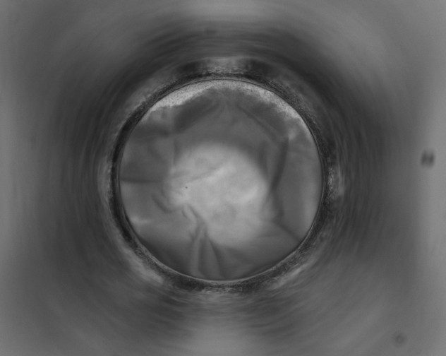 X0000102020725200808081748
