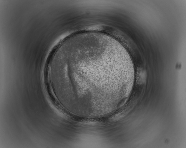 X0000102020726200808081748