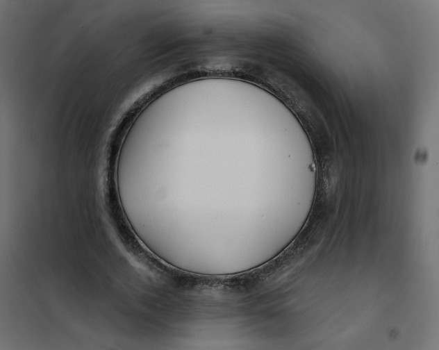 X0000102020728200808081748
