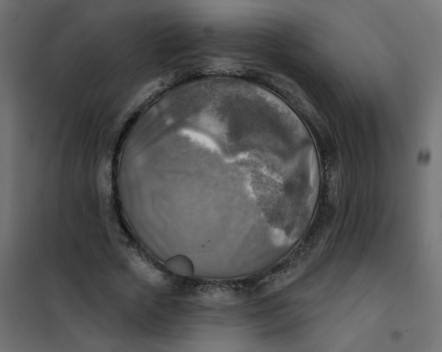 X0000102020729200808081748