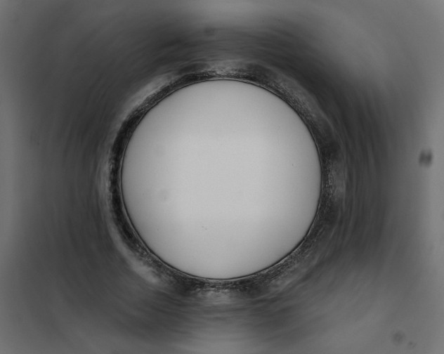 X0000102020730200808081748