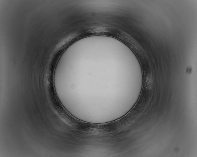 X0000102020732200808081748