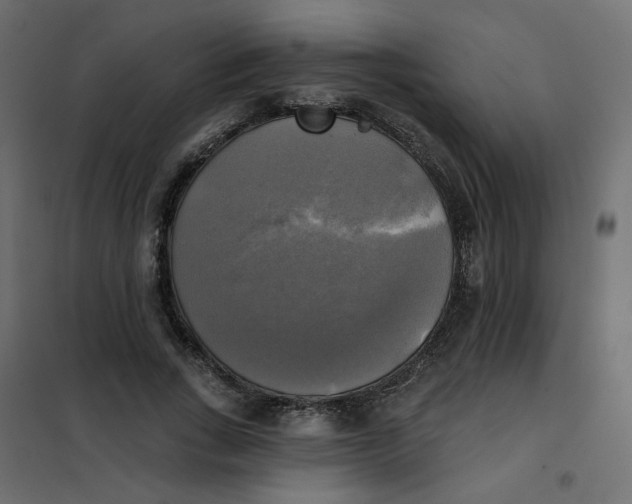 X0000102020735200808081748
