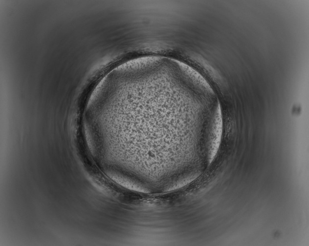 X0000102020736200808081748