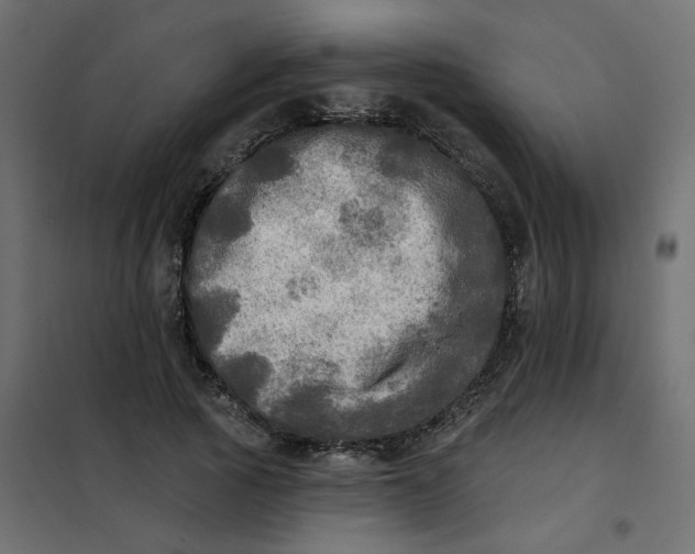 X0000102020737200808081748