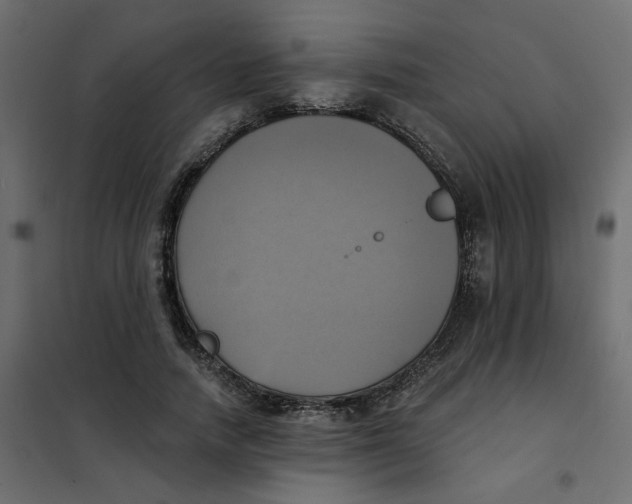 X0000102020738200808081748