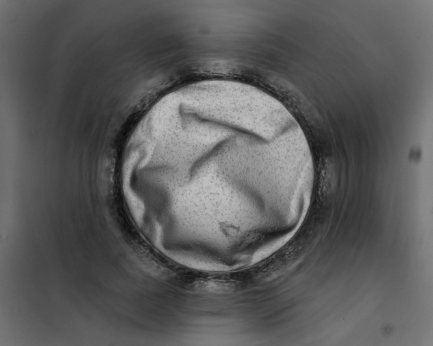 X0000102020739200808081748