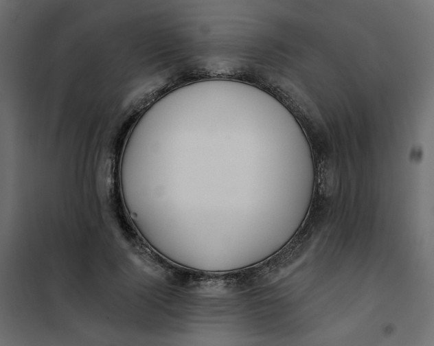 X0000102020740200808081748