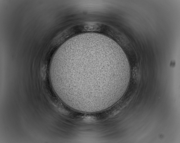 X0000102020741200808081748