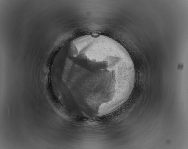 X0000102020742200808081748