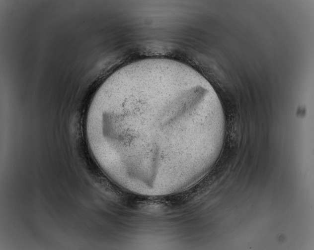 X0000102020743200808081748
