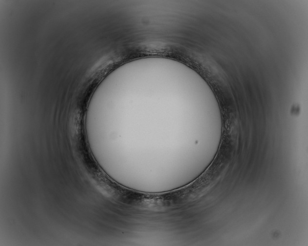 X0000102020744200808081748
