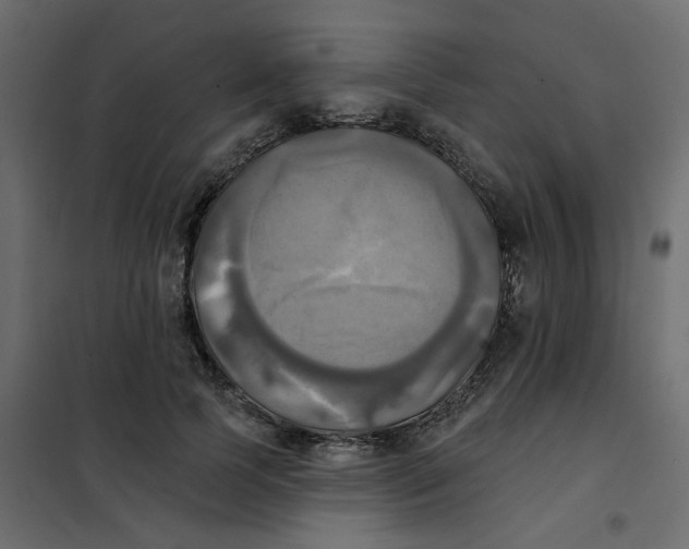 X0000102020745200808081748