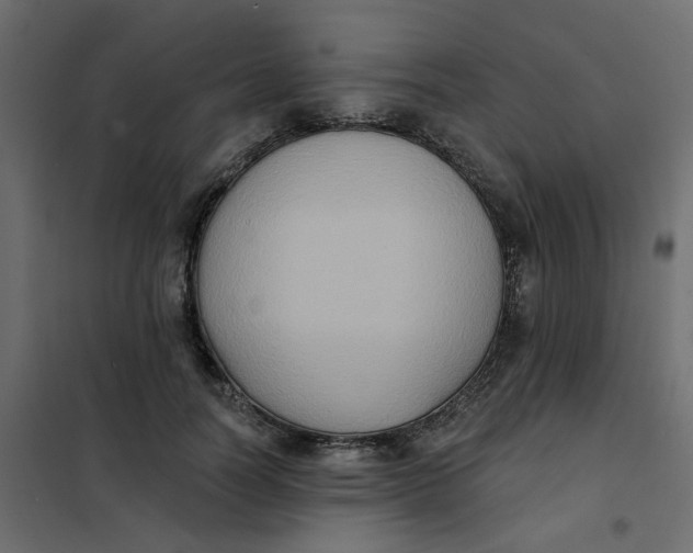 X0000102020746200808081748
