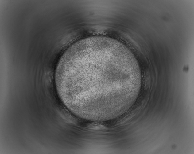X0000102020747200808081748