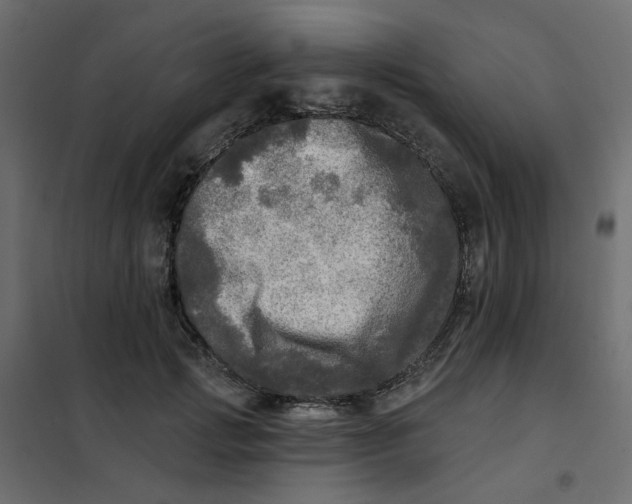 X0000102020749200808081748